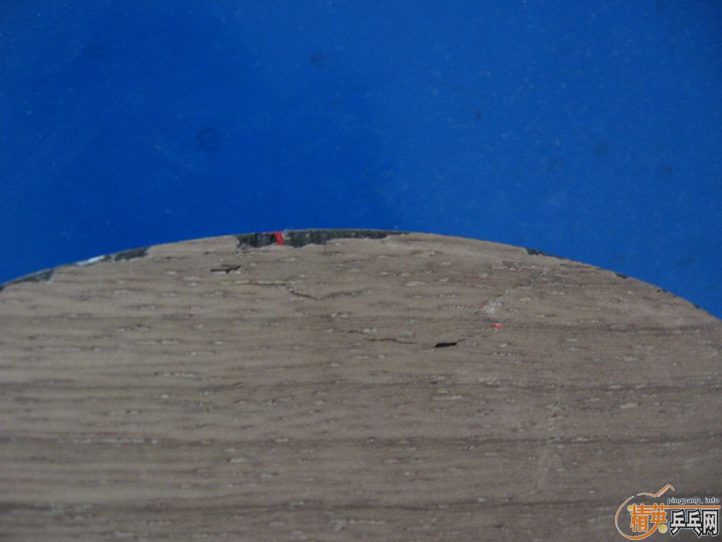 ����ʵ�� ��� ��ˮ�� ̼���� DIY��ֱ ����