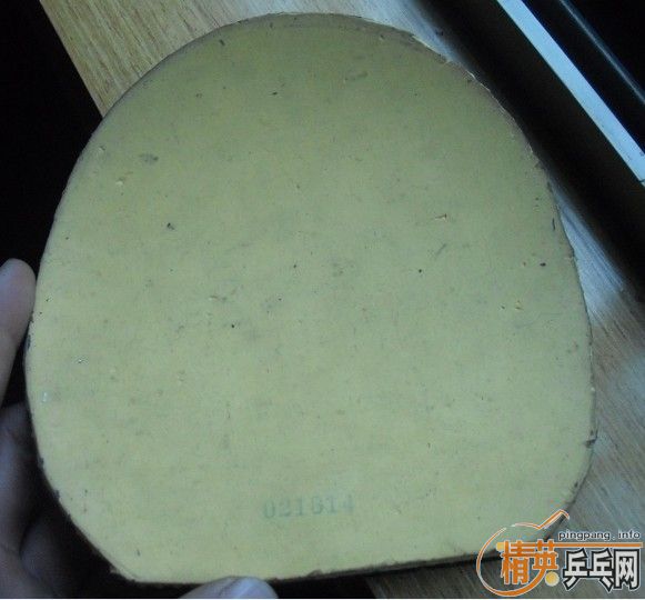 ����  ����3�����chianTS����������޻���