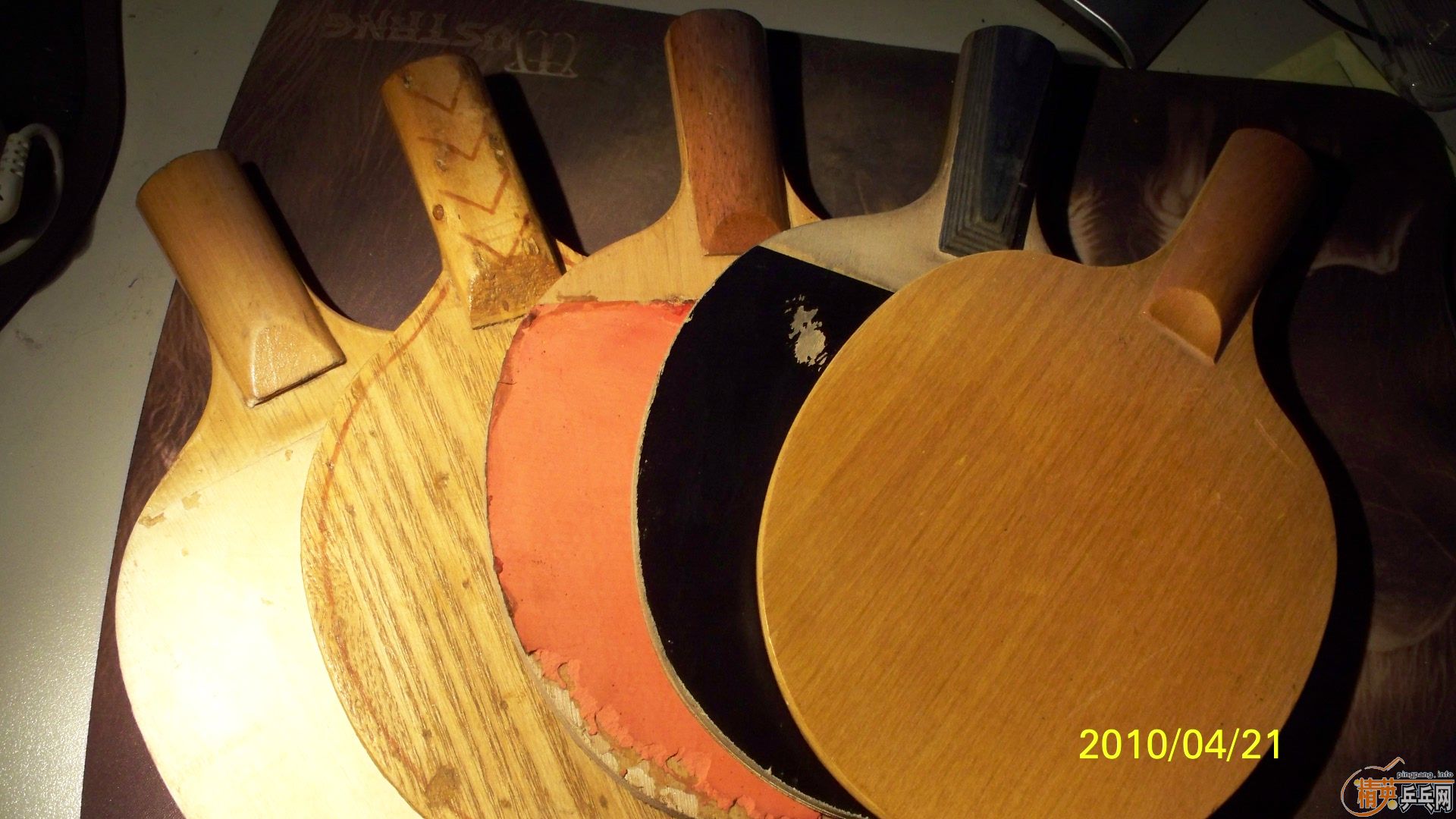 5ֻ ���� ����  ���� �ϰ��� �����,30/ֻ