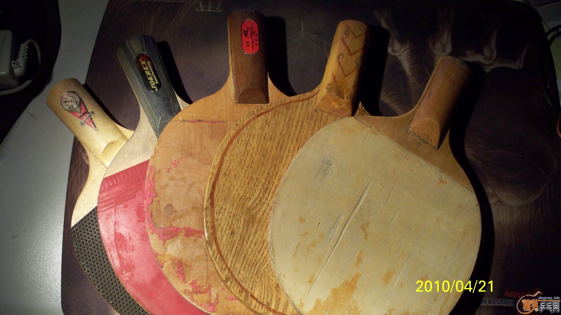 5ֻ ���� ����  ���� �ϰ��� �����,30/ֻ