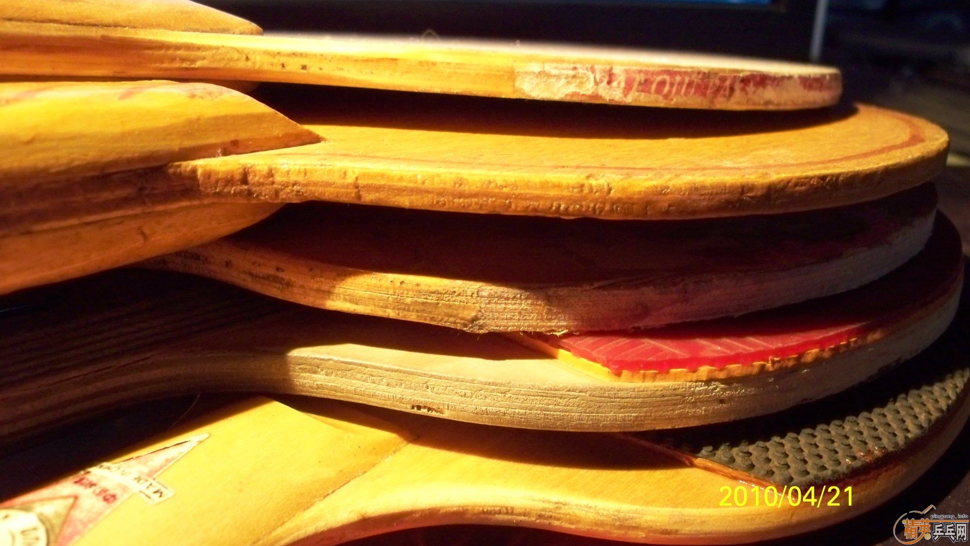 5ֻ ���� ����  ���� �ϰ��� �����,30/ֻ