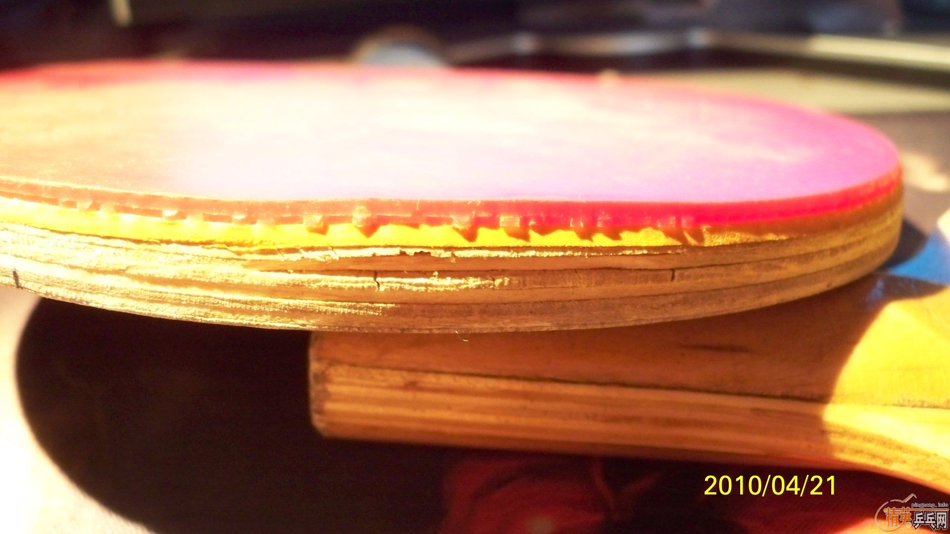 5ֻ ���� ����  ���� �ϰ��� �����,30/ֻ