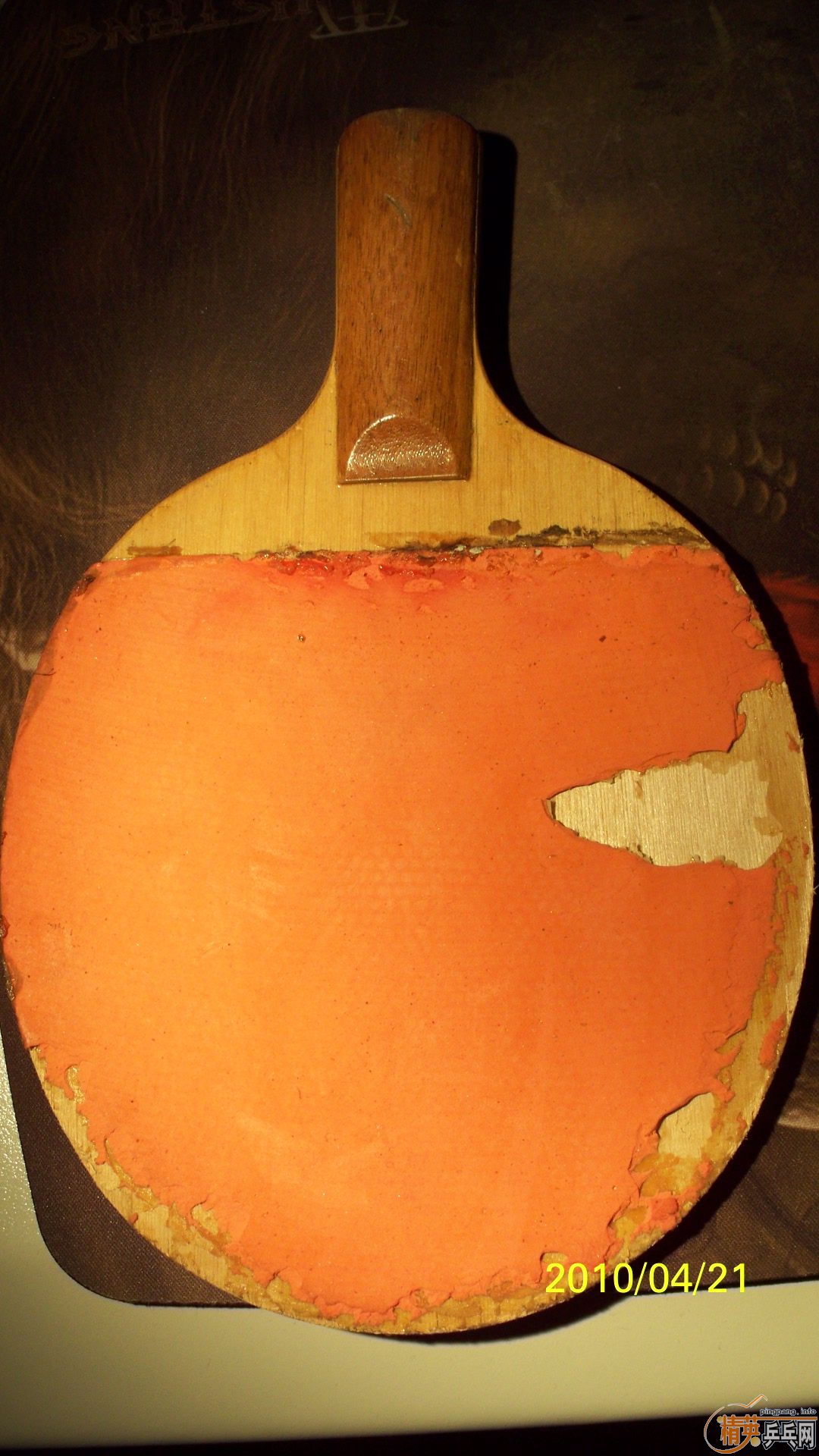 5ֻ ���� ����  ���� �ϰ��� �����,30/ֻ