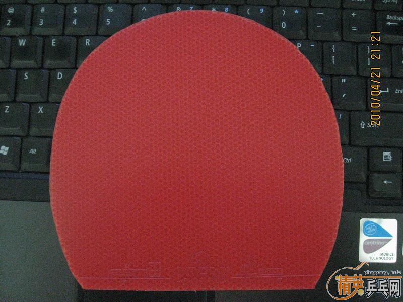 9.5�³���ɫ����ŷ����2