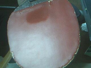 F1,F2,ʡ���켫��ȫ����30һ��