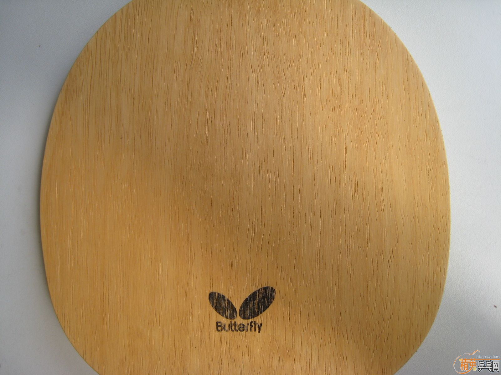 ��ST������BOLL FORTE������TAIWAN����ֱ����plasma��