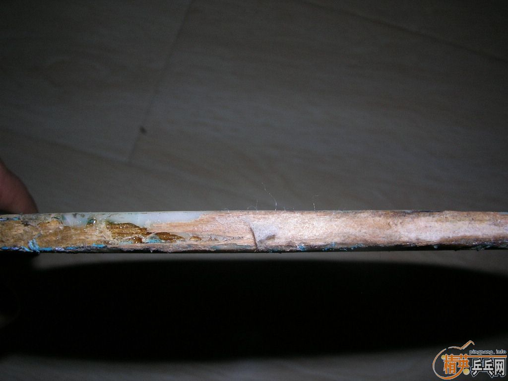 ���ϰ�������������VIS��������f1���