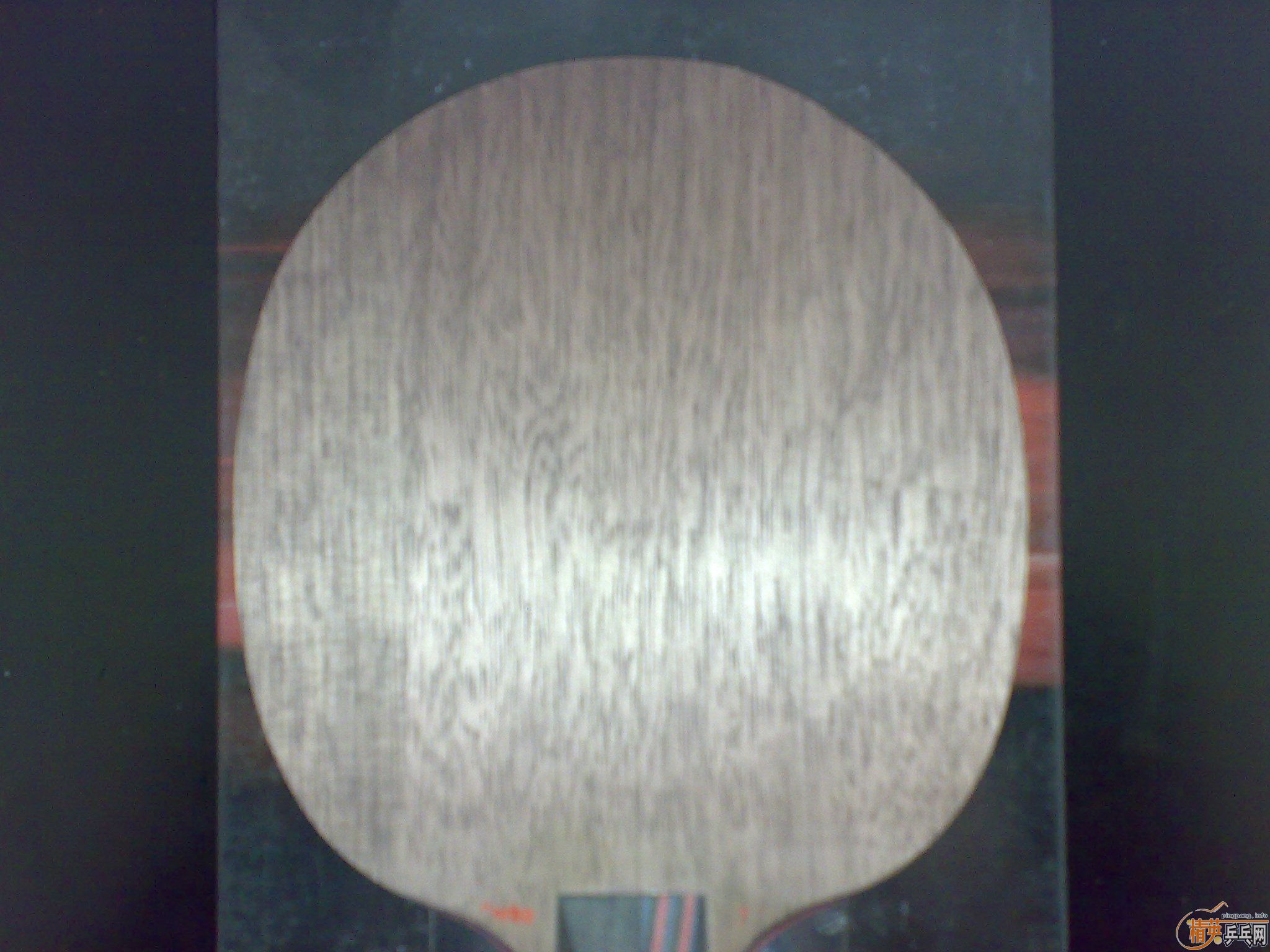 ��ĥ������ŷʵ�ı���OCCR��ʽ�ֱ���ս��CWX������40�ȴ�ף�09�տ�3 40�ȣ����С�����