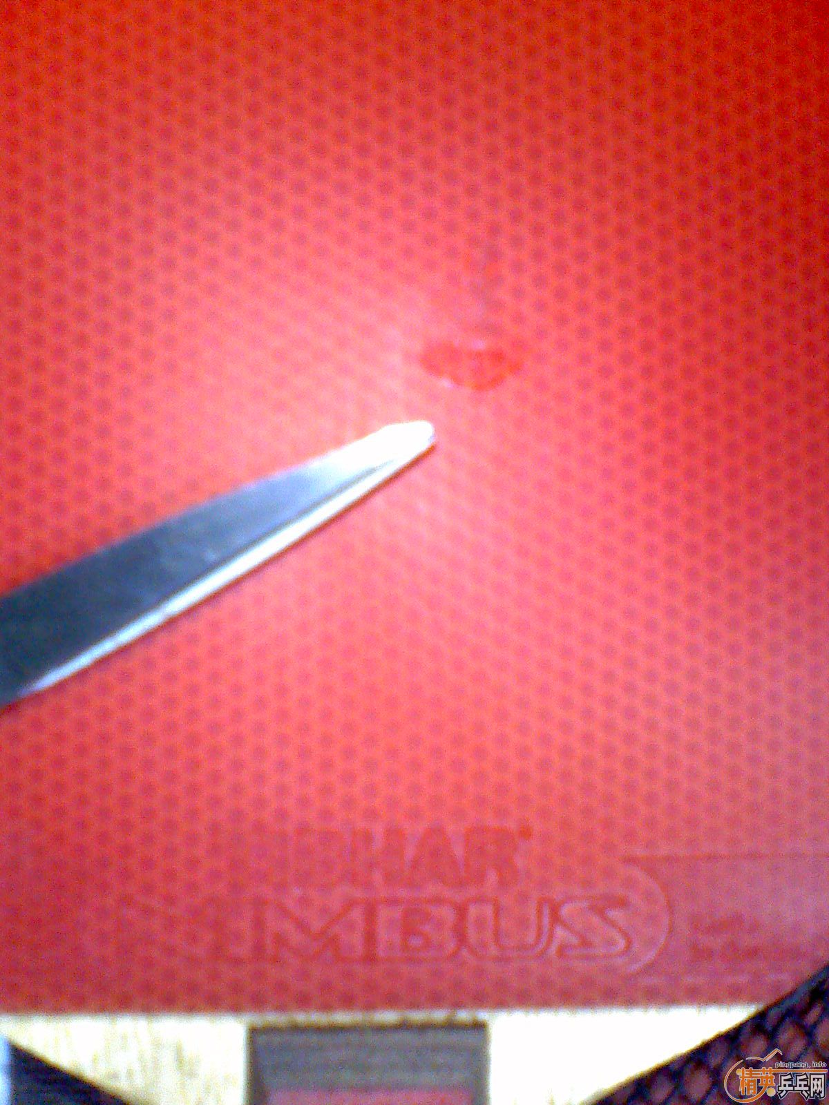 ������ʹ���׽���ͦ���������ͺ�������2