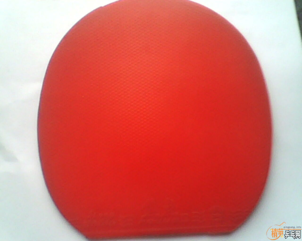 �л�EG�ͽ���1 ����3