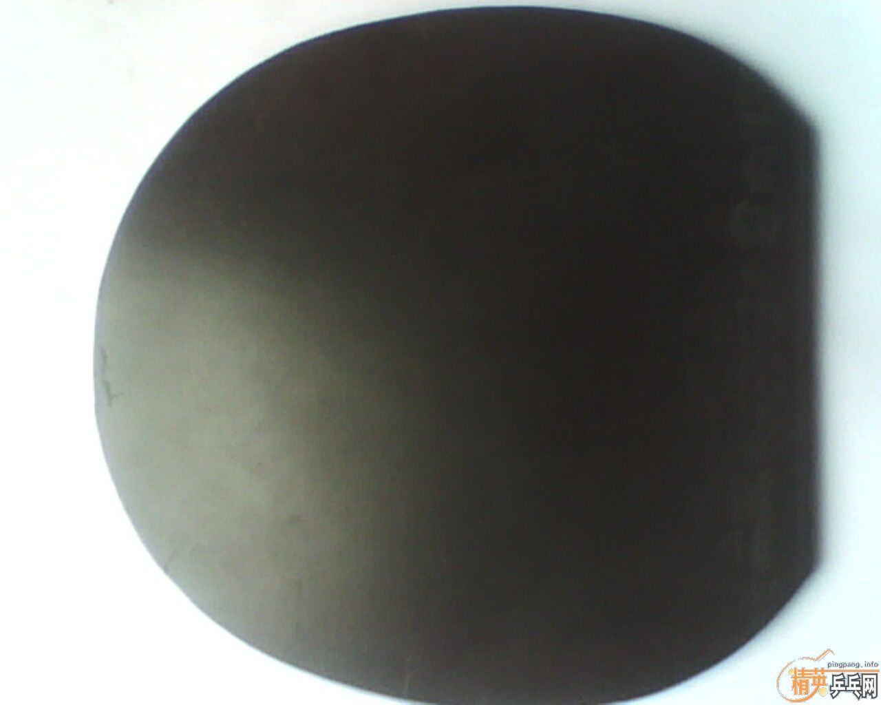 �л�EG�ͽ���1 ����3