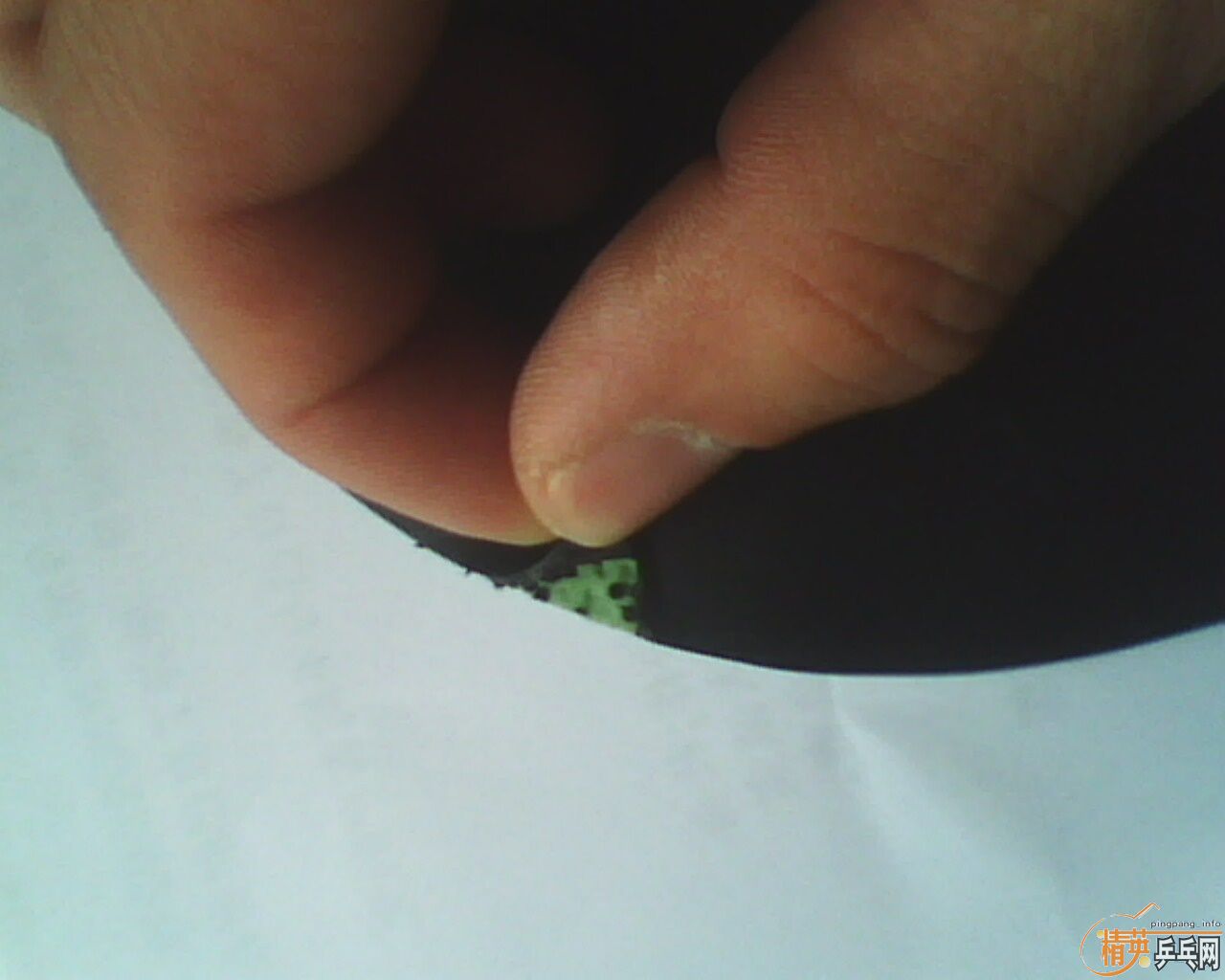 �л�EG�ͽ���1 ����3