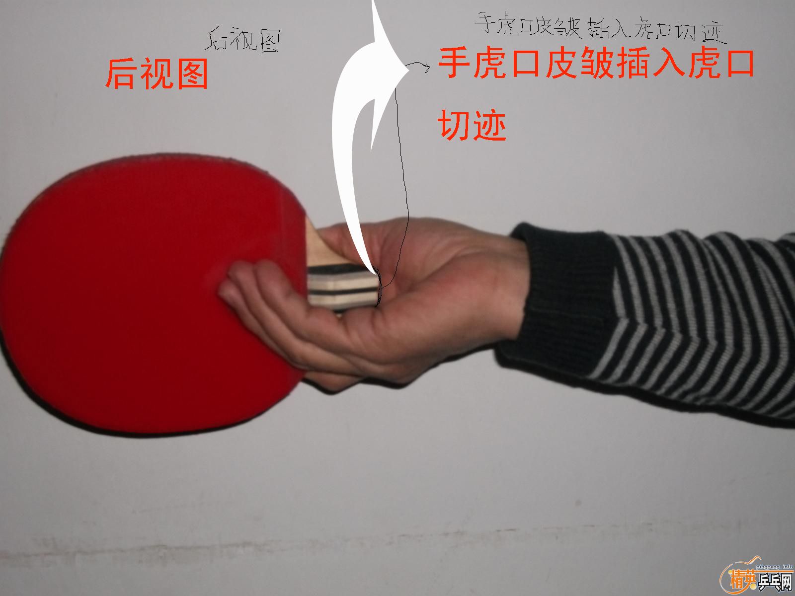 ֱģУͼ