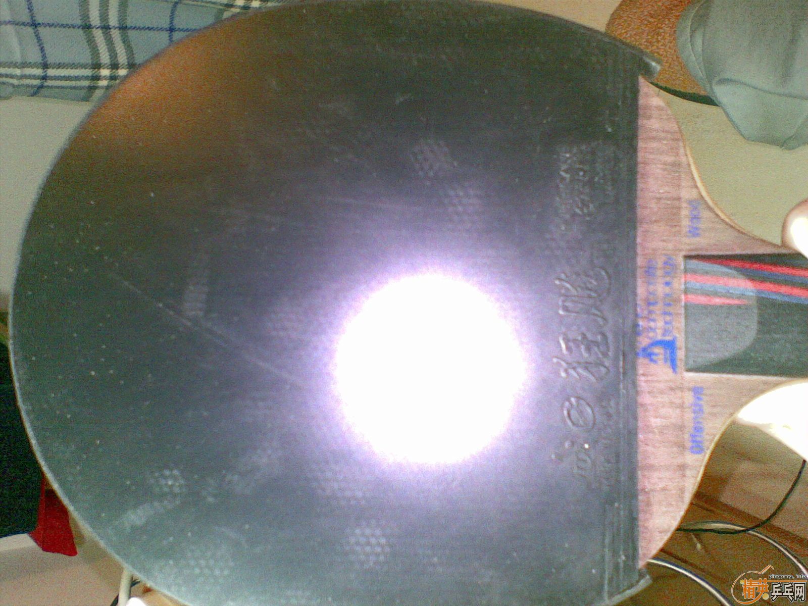 ��ʡ�� ֻ������ 90Ԫ