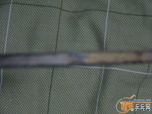 �����ѳ�һ�����ISHLION