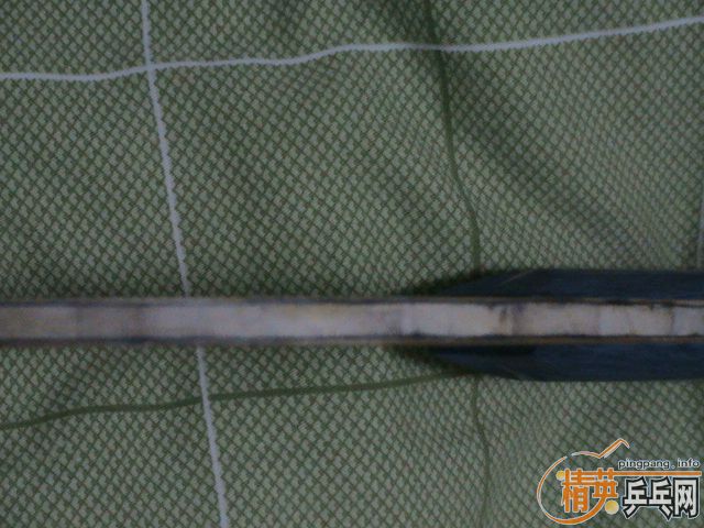 �����ѳ�һ�����ISHLION