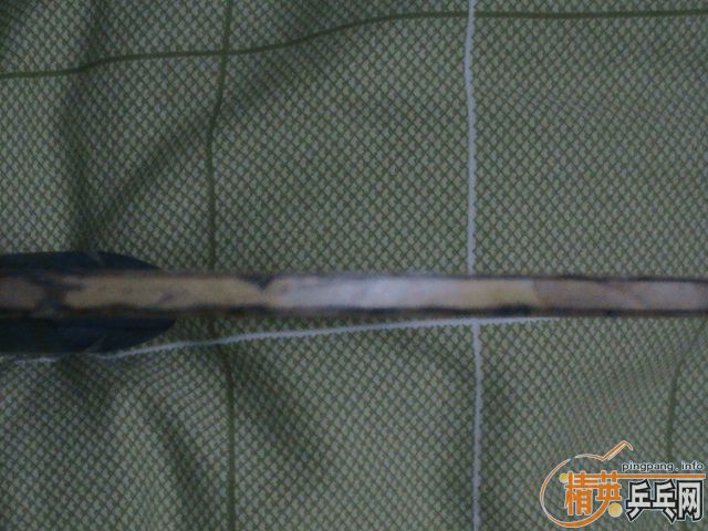 �����ѳ�һ�����ISHLION