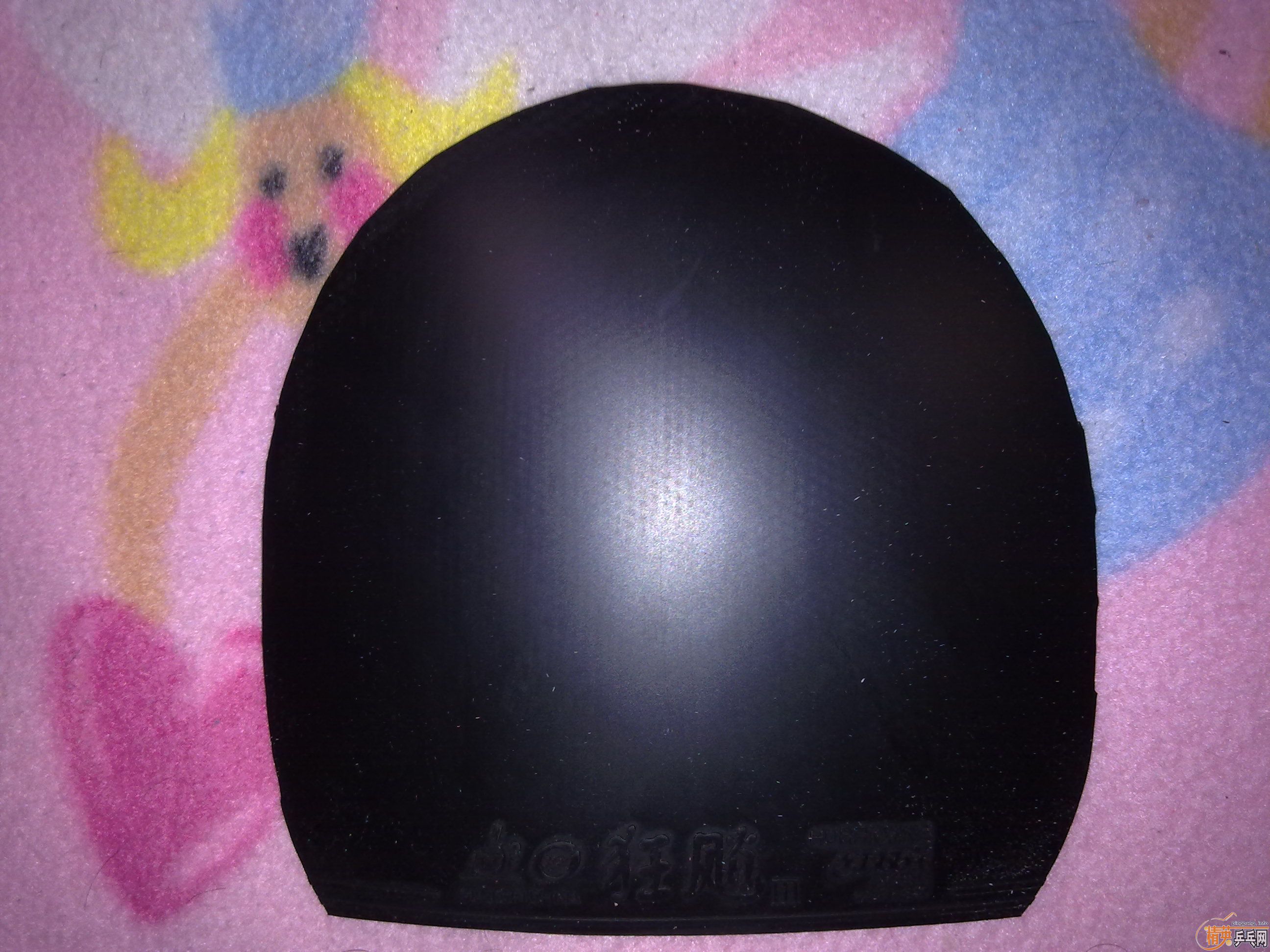 ���ۿ�쭺�,41��ʡ��,������jo!