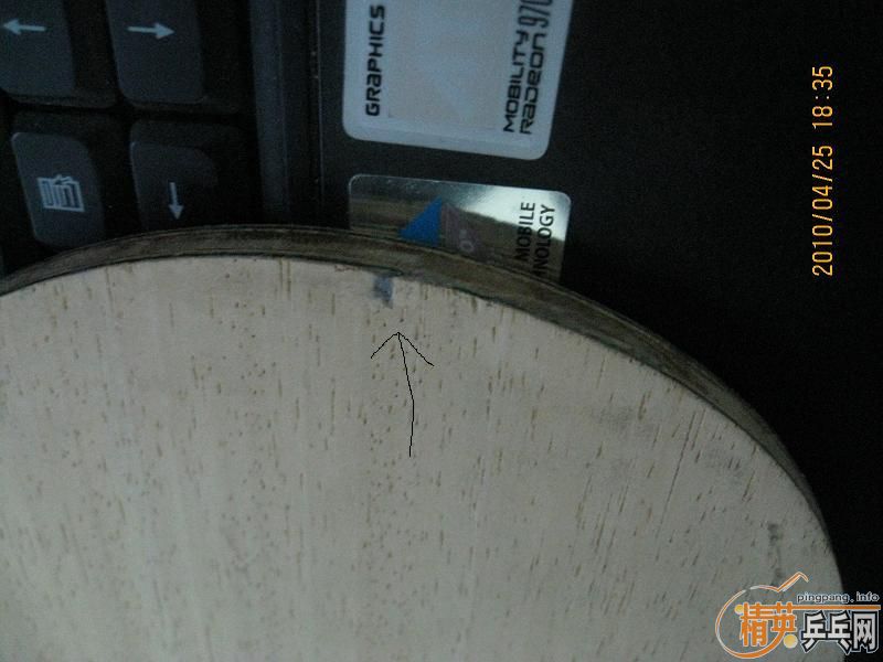 �����ƺ�������