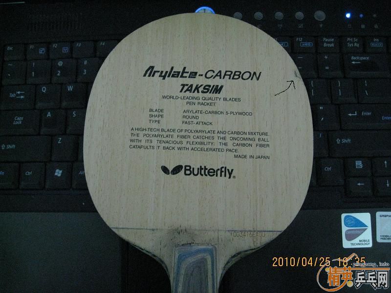 �����ƺ�������