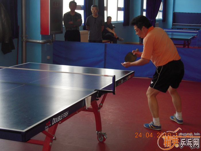 ��Ӣ�����ൺƹ�Ѿ��ֲ����·�������ʵ