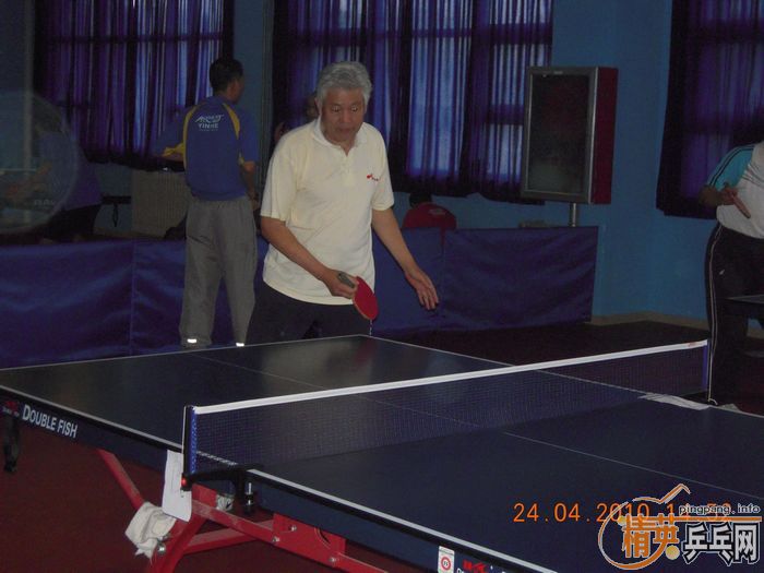 ��Ӣ�����ൺƹ�Ѿ��ֲ����·�������ʵ