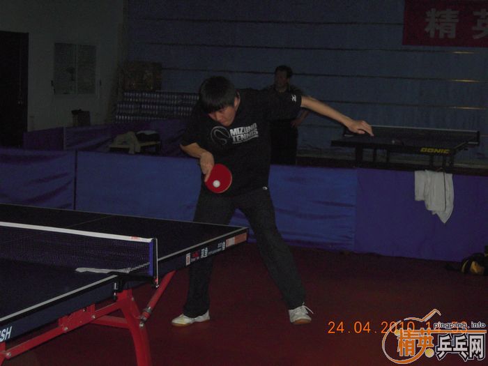 ��Ӣ�����ൺƹ�Ѿ��ֲ����·�������ʵ