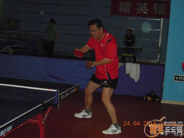 ��Ӣ�����ൺƹ�Ѿ��ֲ����·�������ʵ