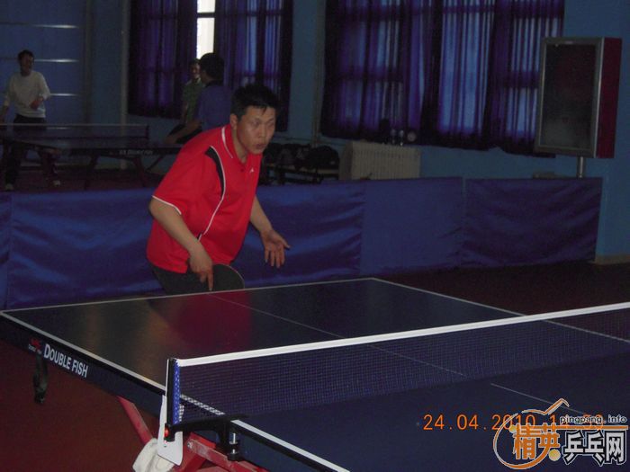 ��Ӣ�����ൺƹ�Ѿ��ֲ����·�������ʵ