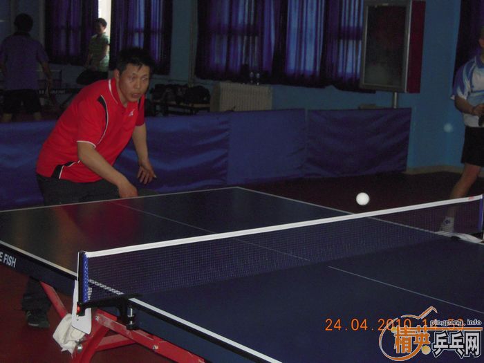 ��Ӣ�����ൺƹ�Ѿ��ֲ����·�������ʵ