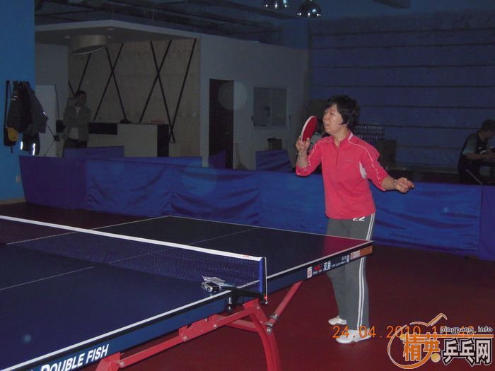 ��Ӣ�����ൺƹ�Ѿ��ֲ����·�������ʵ