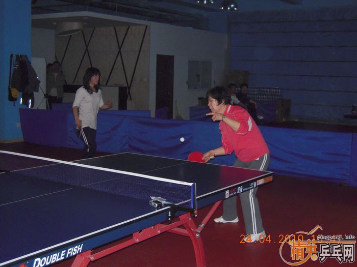 ��Ӣ�����ൺƹ�Ѿ��ֲ����·�������ʵ