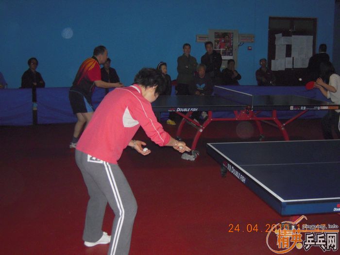 ��Ӣ�����ൺƹ�Ѿ��ֲ����·�������ʵ