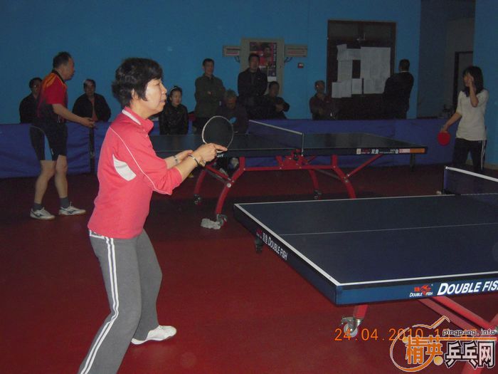 ��Ӣ�����ൺƹ�Ѿ��ֲ����·�������ʵ