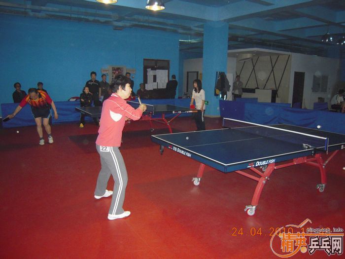 ��Ӣ�����ൺƹ�Ѿ��ֲ����·�������ʵ