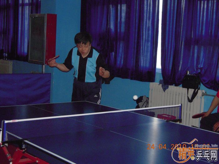 ��Ӣ�����ൺƹ�Ѿ��ֲ����·�������ʵ