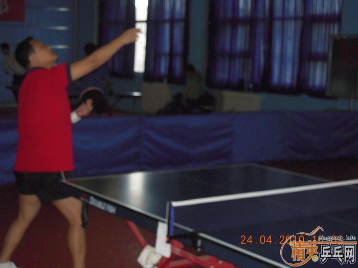 ��Ӣ�����ൺƹ�Ѿ��ֲ����·�������ʵ