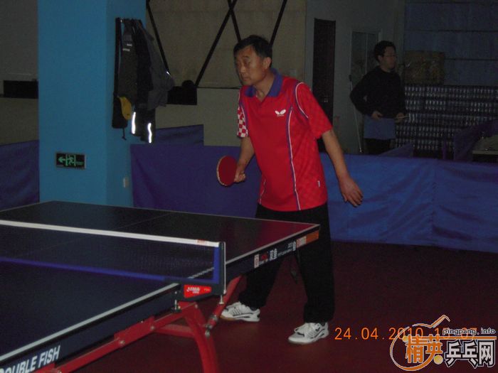 ��Ӣ�����ൺƹ�Ѿ��ֲ����·�������ʵ