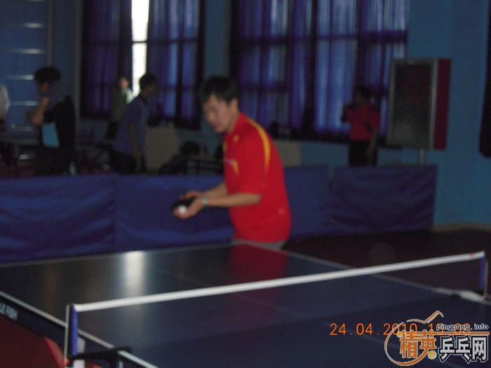 ��Ӣ�����ൺƹ�Ѿ��ֲ����·�������ʵ