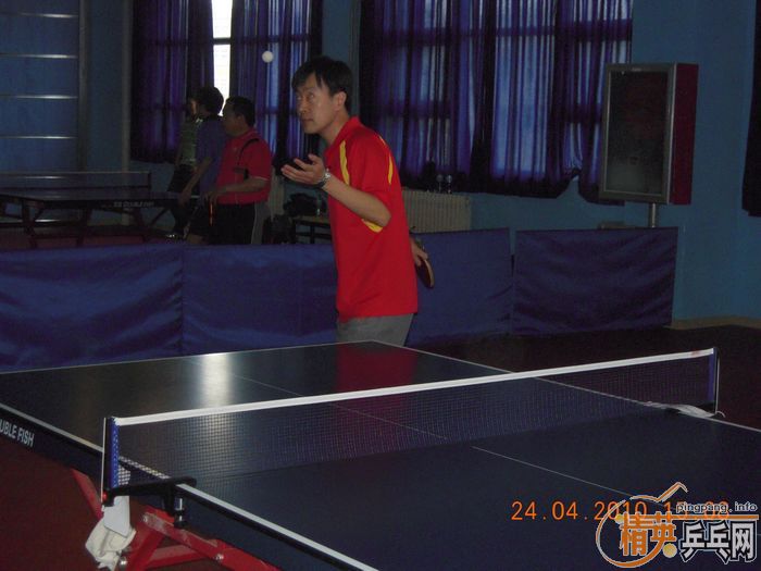 ��Ӣ�����ൺƹ�Ѿ��ֲ����·�������ʵ