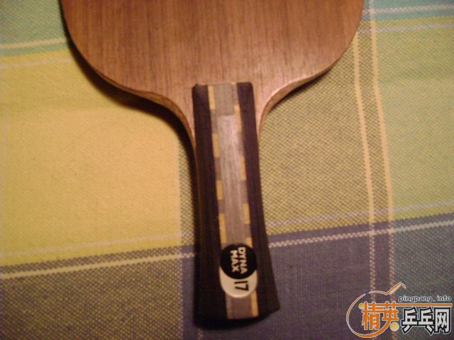 ƹ�ѵĽ��� �������� ������17�� �뻻����ë����