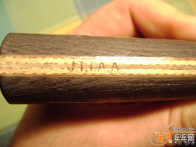 ƹ�ѵĽ��� �������� ������17�� �뻻����ë����