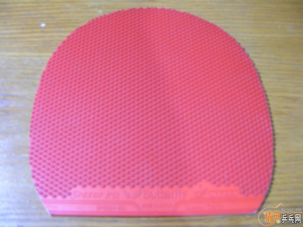 ��������  �ֽ���