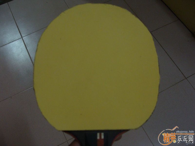 �������л�����zlf������koto��m6