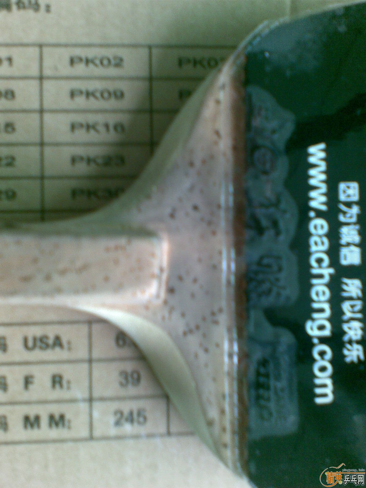 ���ӵ��㰢��˹��ʽ�ӽ�Ƥ������E1��E3