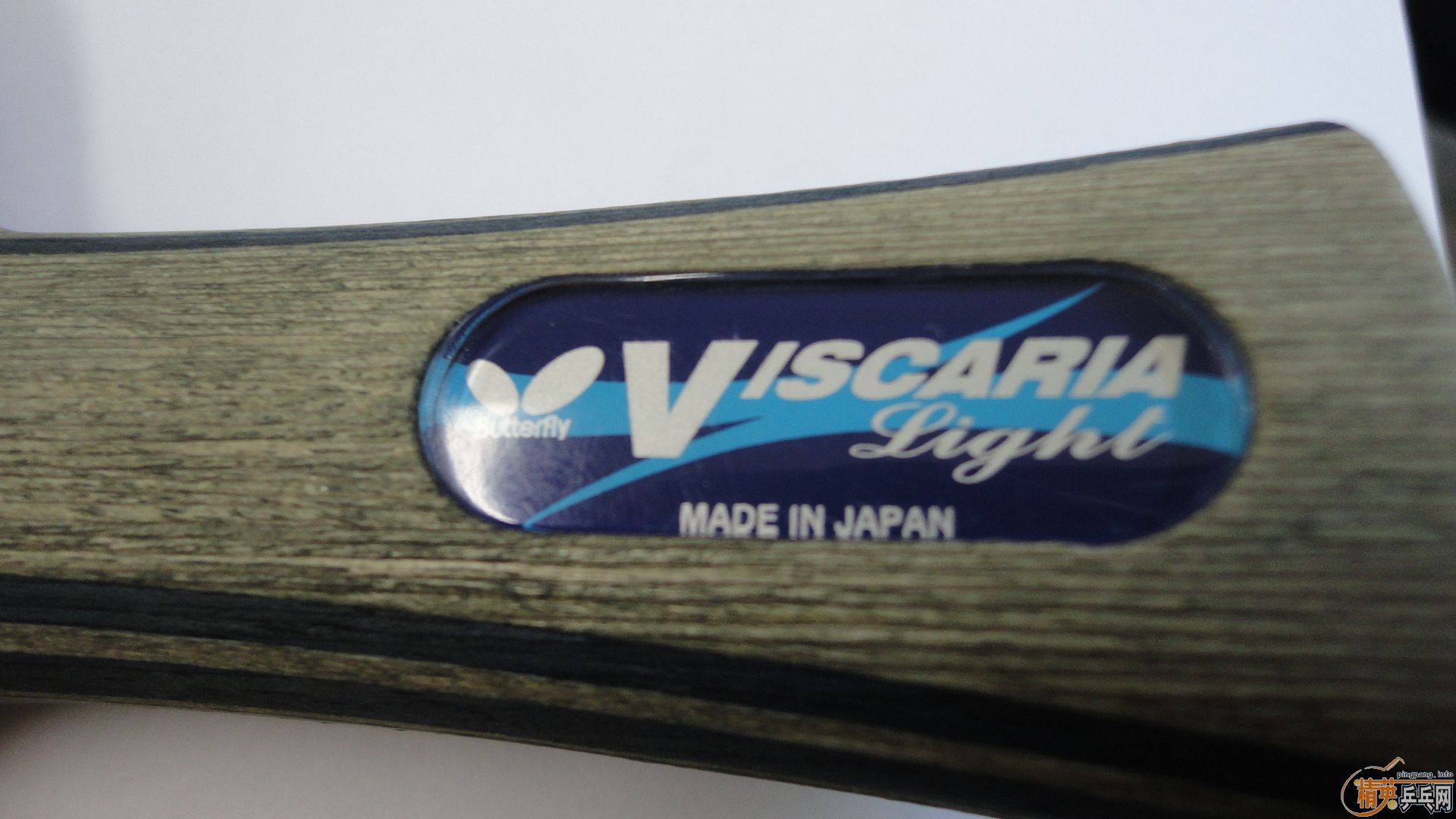 �����ͺ�����9.5��