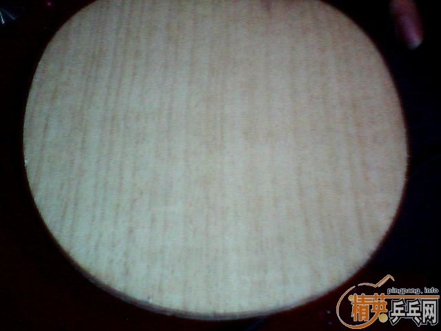 ֧���� FL stiga ����̼�� 9���� ���µ� ����C 8����