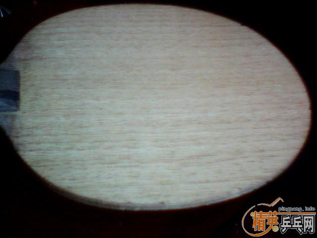 ֧���� FL stiga ����̼�� 9���� ���µ� ����C 8����