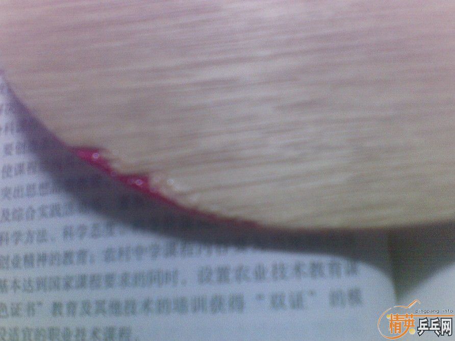 ���л� CL   260Ԫ����