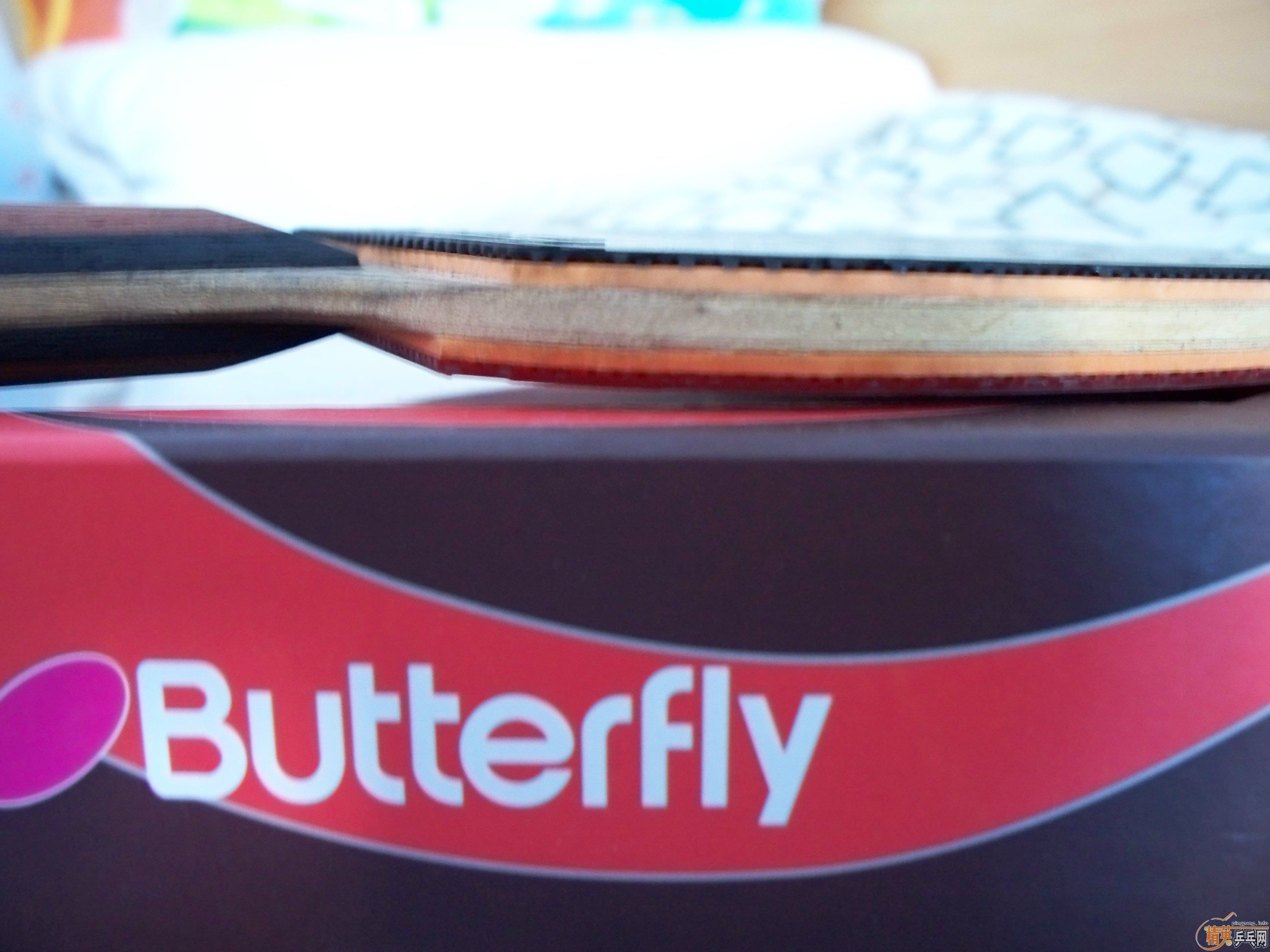 ������ƹ�����ģ�������������Ʒ���Լ�stiga allround classic�װ���������3����729������